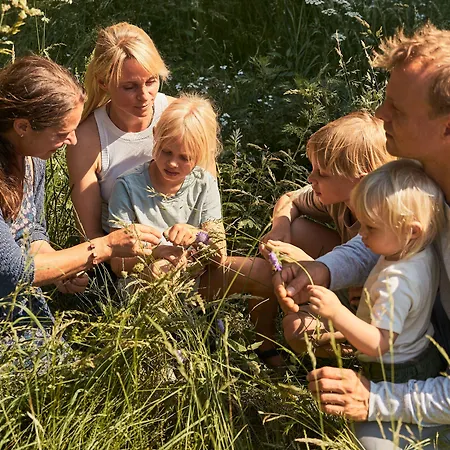 Aja Strandhotel Bansin Szálloda Heringsdorf